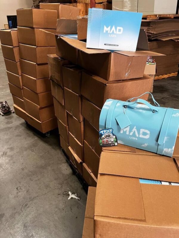 Mad Labs 2g Disposable