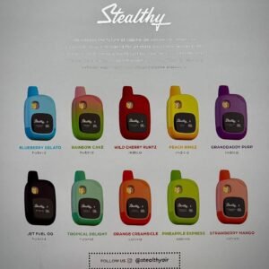 Stealthy Disposable 2G All In One Device