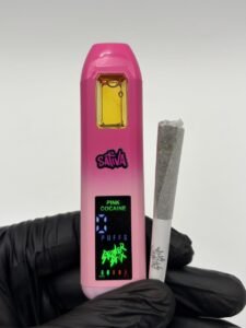 Stoner Stix World Tour