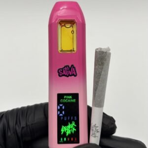 Stoner Stix World Tour